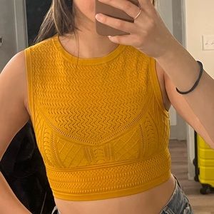 Aritzia Babaton Knit Tank